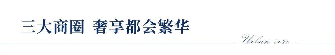 华体育手机版app官网下载：深圳盐田【中房翰林门_中房翰林门】官方网站丨接待您丨楼盘详情(图9)